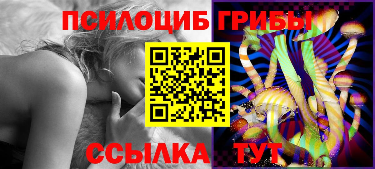 Псилоцибиновые грибы GOLDEN TEACHER Зеленодольск