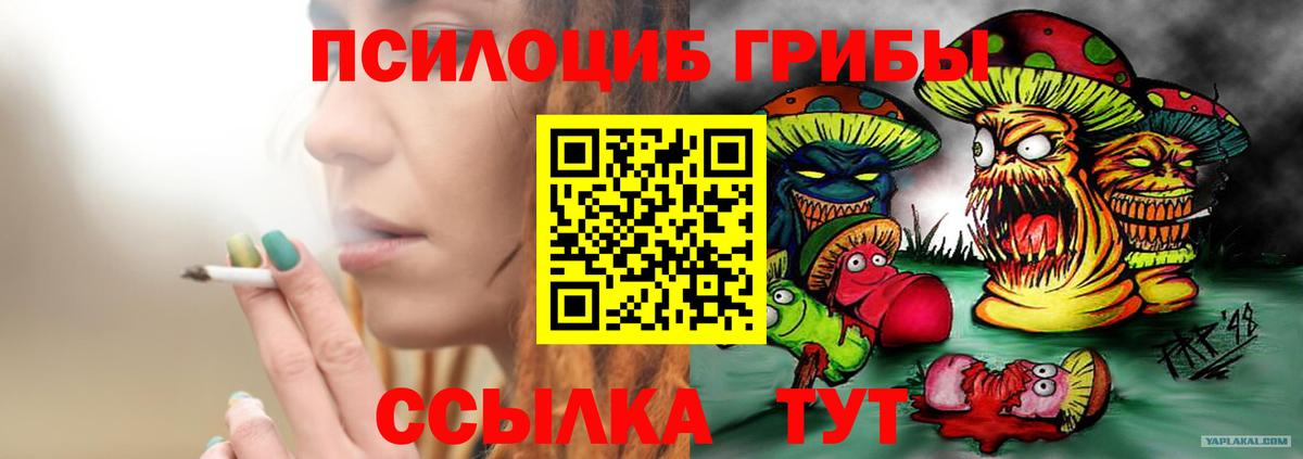 продажа наркотиков  Вход с VPN  Псилоцибиновые грибы мицелий  Зеленодольск  Галлюциногенные грибы MAGIC MUSHROOMS 